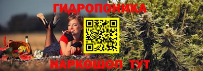 кокс Шебекино
